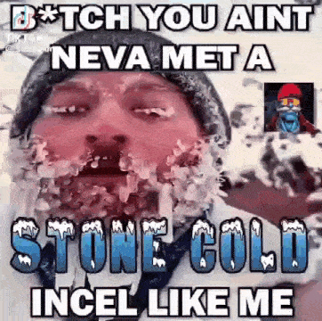 Stone Cold Incel Freeze GIF - Stone Cold Incel Stone Cold Incel GIFs