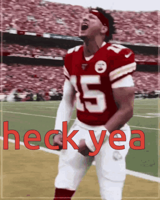 a football player with the number 15 on his jersey celebrates on the field