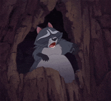 a cartoon drawing of a raccoon with a purple background