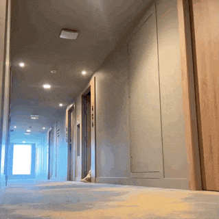 a hallway with a light on the ceiling and a few doors