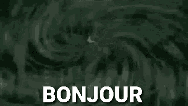 a black and white cartoon of a man and a woman standing next to each other with the words `` bonjour '' written in white