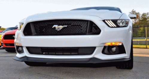 Ford Mustang Ford GIF