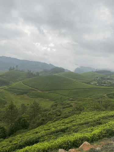 Munnar GIF - Munnar GIFs