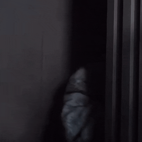a man in a fur coat is standing in the dark