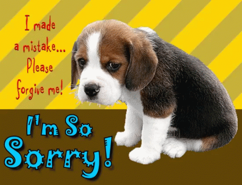 Im So Sorry Sad Puppy GIF - Im So Sorry Sorry Sad Puppy GIFs