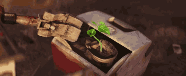 a small plant is growing out of a box in a video game .