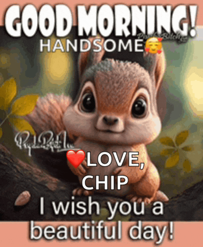 a picture of a squirrel with the words good morning handsome love chip i wish you a beautiful day ..