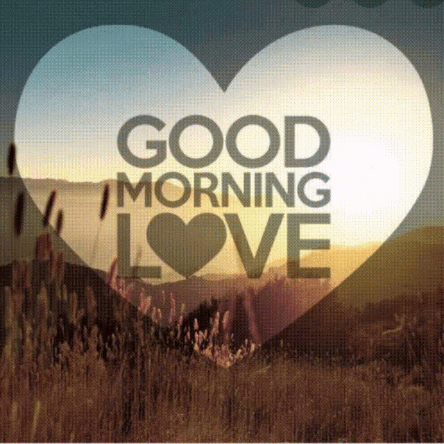 Love Good Morning GIF - Love Good Morning Petals GIFs