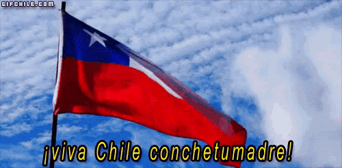 a red white and blue flag with the words viva chile conchetumadre on it