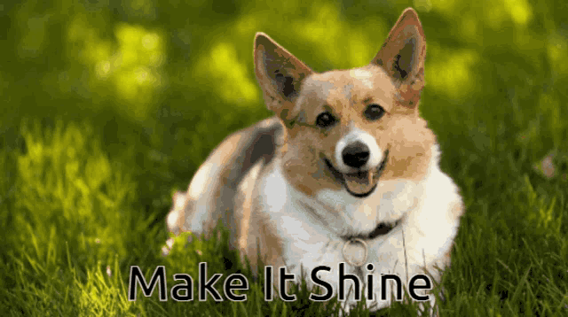 Snubs Victorious GIF - Snubs Victorious Make It Shine GIFs