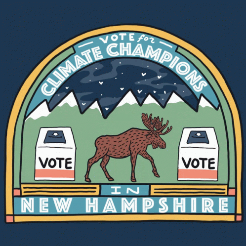 Vote Corrieliotta GIF - Vote Corrieliotta New Hampshire Election GIFs