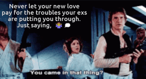 Han Solo Princess You Came In That Thing GIF - Han Solo Princess You Came In That Thing Never Let Your New Love Suffer GIFs
