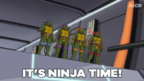 Tmnt Ninja Turtles GIF - Tmnt Ninja Turtles Ninja Time GIFs