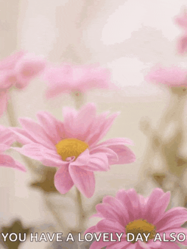 a mother 's day card with pink flowers and the words happy mother 's day you have a lovely day also
