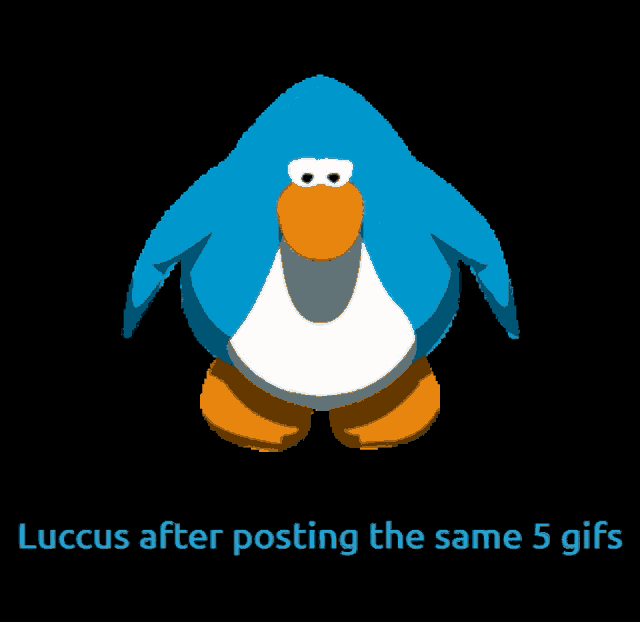 a blue penguin with an orange beak is on a black background with the words luccus after posting the same 5 gifs