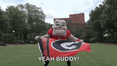 a bulldog mascot is holding a georgia bulldogs flag and saying yeah buddy .