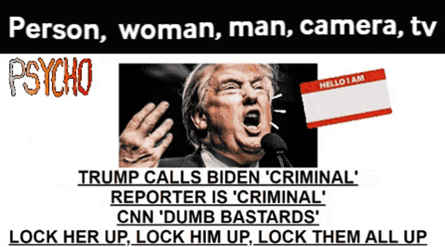 a poster with a picture of donald trump and the words person woman man camera tv