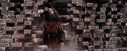 Hagrid Harry Potter GIF - Hagrid Harry Potter Awesome GIFs