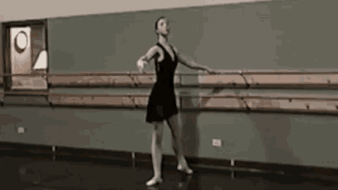 Laura Maceika Ballet GIF - Laura Maceika Ballet Barre GIFs