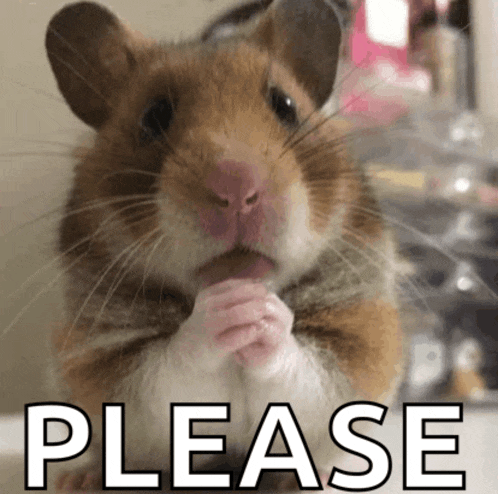 a brown and white hamster is praying with the word please written below it