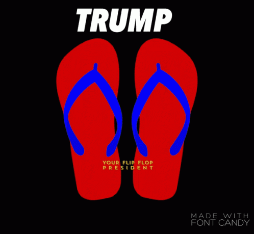 Flip Flop GIF - Flip Flop Trump GIFs