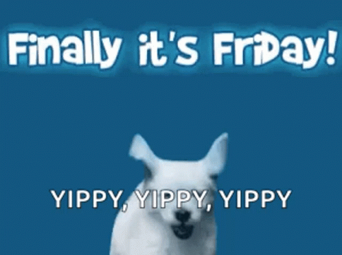 Finally Its Friday Dog Puppy Jumping GIF - Finally Its Friday Dog Puppy Jumping GIFs