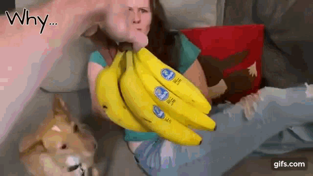 Realbreakingnate Basicallymarie GIF - Realbreakingnate Basicallymarie Bananas GIFs