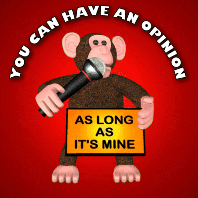 You Can Have An Opinion As Long As It'S Mine GIF - You Can Have An Opinion As Long As It'S Mine Belief GIFs
