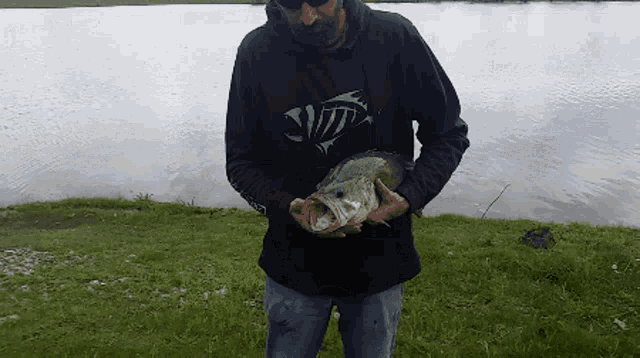 Bass Fishing Wiggle GIF - Bass Fishing Wiggle Drop GIFs