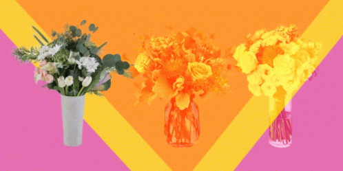 Flower Delivery Bouquet Of Flowers GIF - Flower Delivery Bouquet Of Flowers Pretty Flowers GIFs