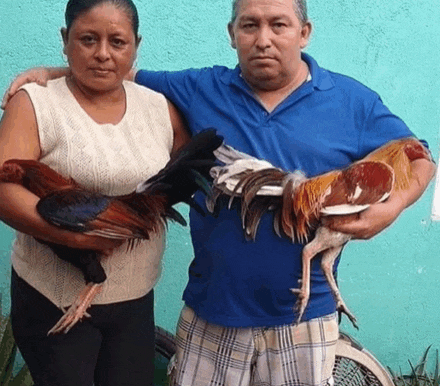 a man in a blue shirt holds a chicken next to a woman