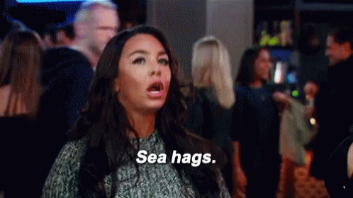 Sea Hags GIF - Hag Sea Hags Hags GIFs
