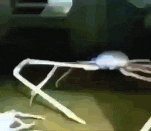 a painting of a spider with a x on its back