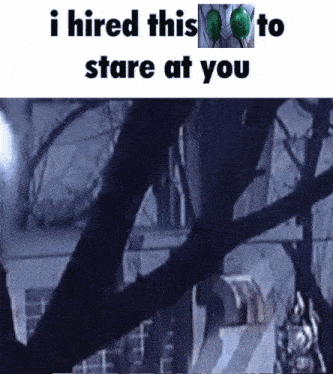 a poster that says i hired this to stare at you with a tree in the background