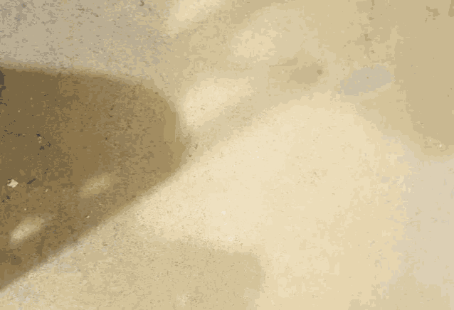 a close up of a person 's feet on a white surface