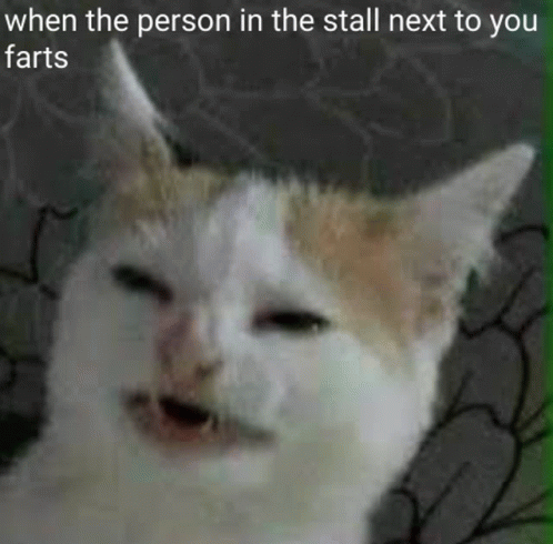 Strange Cat When The Person In The Stall Next To You Farts GIF - Strange Cat When The Person In The Stall Next To You Farts GIFs