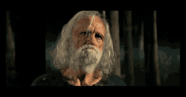 a man with long hair and a beard looks at the camera with his eyes closed