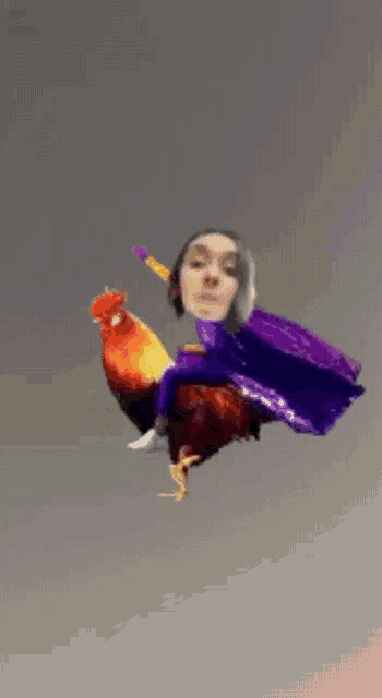 a woman in a purple cape is riding a colorful rooster