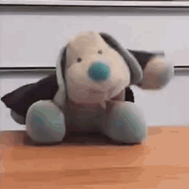 a stuffed dog with a blue nose is sitting on a table .
