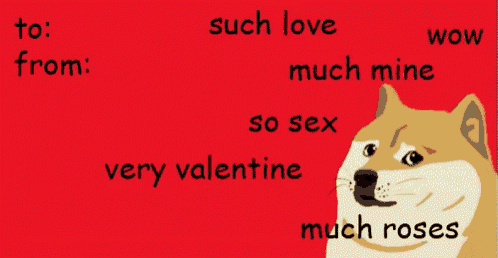 a doge says such love much mine so sex very valentine and wow