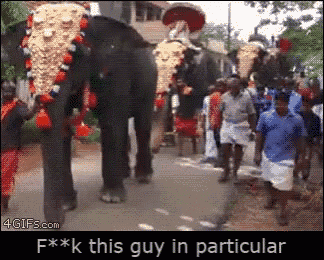 a group of people are walking down a street with elephants in the background