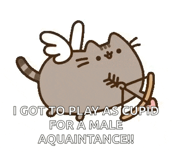 pusheen the cat is playing as cupid for a male aquaintance !