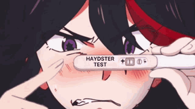 a cartoon character holding a pregnancy test that says haydster test