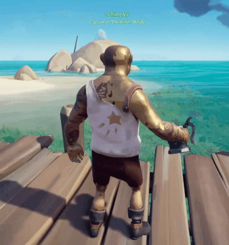 Sot Sea Of Thieves GIF - Sot Sea Of Thieves Terry GIFs