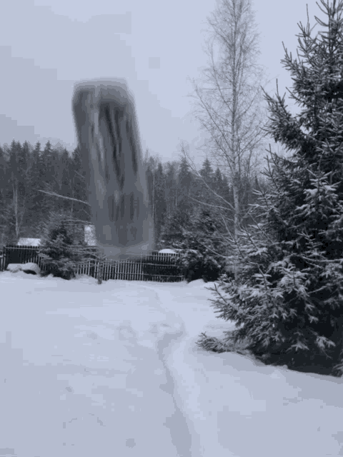 a snowy landscape with trees and a fence