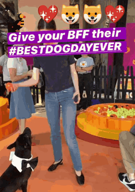 Your Day Is Never Complete Without A Dog Give Your Bff Their Best Dog Day Ever GIF - Your Day Is Never Complete Without A Dog Give Your Bff Their Best Dog Day Ever Dog GIFs