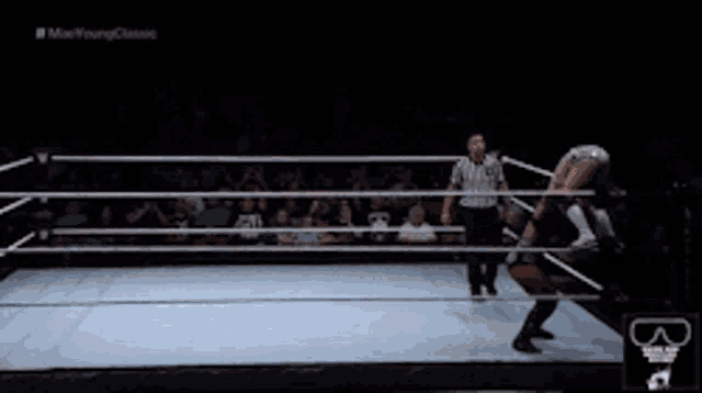 two women are wrestling in a ring with a referee and a watermark that says b on it