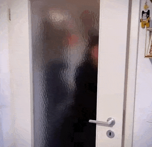 a person is standing behind a glass door with a white handle .