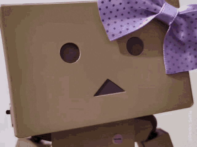 a cardboard box with a purple polka dot bow on its head