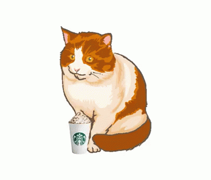 Kitty Psl GIF - Pumpkin Spice Latte Psl Cat GIFs